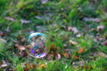Soap sud floating against autumn grass