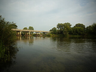 Fototapeta premium lake in the park