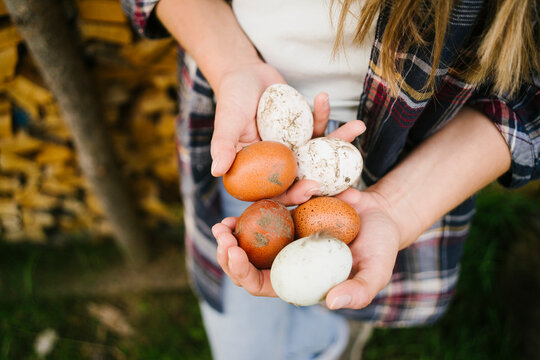 Hands of woman holding brown and white eggs