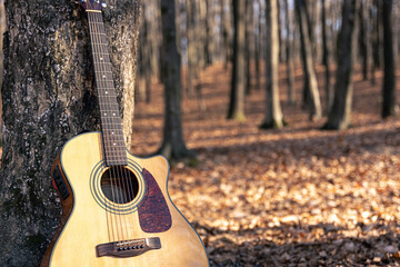 Acoustic guitar on a blurred background of an autumn forest.