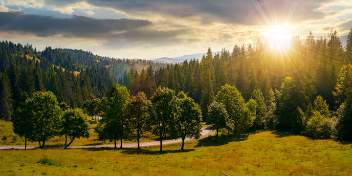 forested mountains at sunset in summer. tree along the road in evening light. clouds above the hills. explore carpathian countryside
