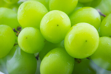 Close up green grape on white background