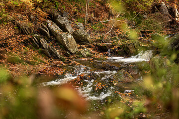 Vallée de la Hoëgne in Belgium, autumn forest