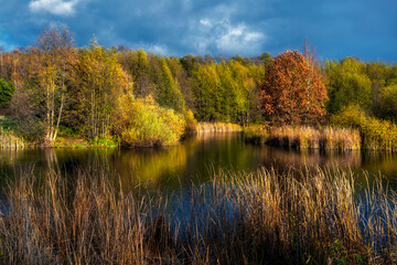 Small pond with autumn colors, President Reagan Park, Gdansk, Poland	