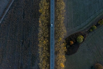 Aerial top view of a white car driving on a highway in a green field near Sabaduri forest in Georgia