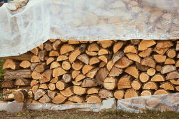 Stacked firewood close-up.