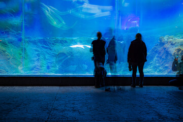 The glass of a huge aquarium with people watching 