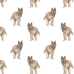 Pattern of colored hand drawn sketch wolf isolated on white background