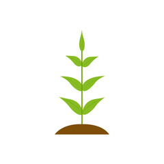 single plant icon shown on white background - vector icon. 