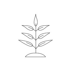 Plant vector isolated on white background - icon 