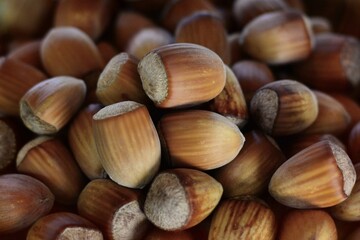 Hazelnuts. Stack of hazelnuts. Food background. Hazelnut background