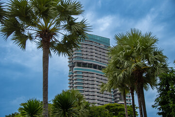 Fototapeta na wymiar A modern skyscraper in Singapore