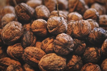 Boxes of ripe walnuts harvested from trees. Agriculture, nuts. Natural and environmentally friendly agriculture.