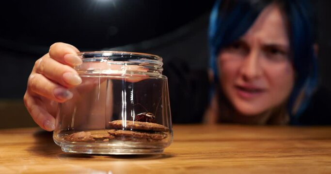 Woman found large cockroach in glass jar of sweet cookies, looking at insect with disgust. Selective focus on foreground at transparent container, in background blurred face of housewife