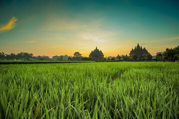 Landscape photo of Plaosan Lor Temple at dawn in Klaten, Central Java, Indonesia. One of the...
