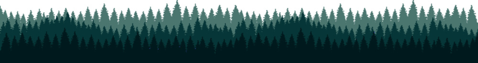 Vector green silhouettes of pine trees in the forest on a white background. panorama