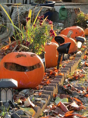 Halloween pumpkin on the street