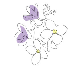 abstract violet or lilac flower in on line art style