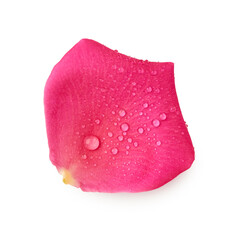 Petals isolated on white background