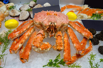 Sale of seafood. Fresh crab on pieces of ice. Sea urchins and mussels in shop window. Seafood and lemons on ice cubes. Seafood shop. Crab with long claws close-up. Fresh ocean food close up