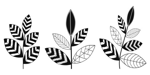 Abstract hand drawn vector plant isolated. 