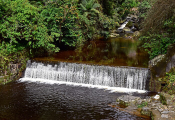 Waterfall on tropical rainforest in Teresopolis, Rio de Janeiro, Brazil