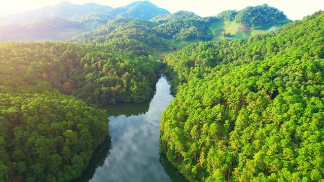 Drone is flying over a beautiful green pine forest during sunrise, "Pang Ung" (Mae Hong Son, Thailand). small alpine lake and hill tribe village. one of the most beautiful attractions in Thailand. 
