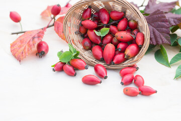 red rosehips, full of vitamin C, autumn composition