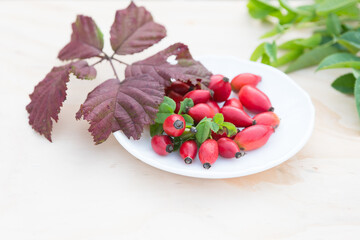 red rosehips, full of vitamin C, autumn composition