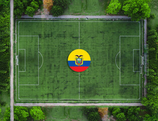 Representation of the football team of Ecuador