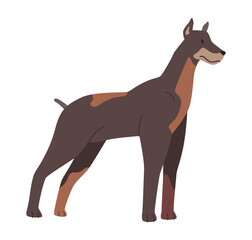 Great Dane breed of a canine animal, isolated curious dog looking aside. Portrait of puppy, domestic pet. Playful and cute mammal. Vector in flat style