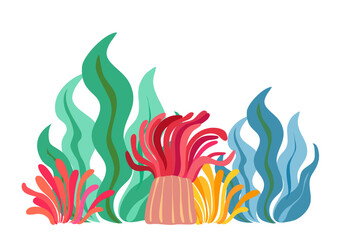 イソギンチャクと海藻のイラスト © tom