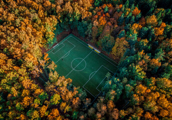 Aerial image. Football field in the autumn forest.