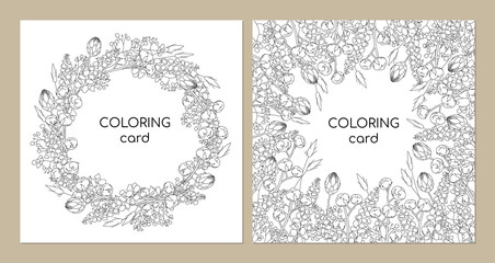 Floral coloring book. Flowers lagurus, moluccella, cotton, proteas, hydrangea. Vector illustration