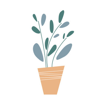 Vector hand drawn cartoon home plant in a pot isolated on a white background. 