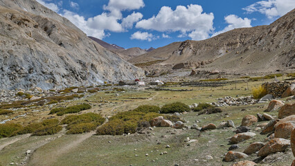 Fototapeta na wymiar Tachungste campsite in Markha valley, Ladakh