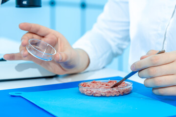 food quality inspection laboratory young woman examining minced meat sample in petri dishes