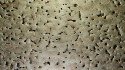 Organic porous material. Bone , nanoporous structures extreme magnification closeup. 3d render illustration