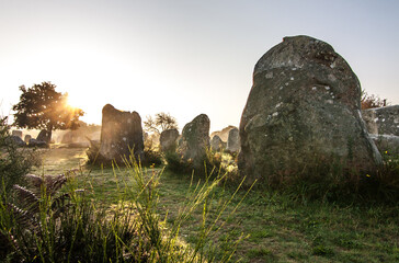 Alignements de Menhirs à Kerzhero à Erdeven dans le Morbihan