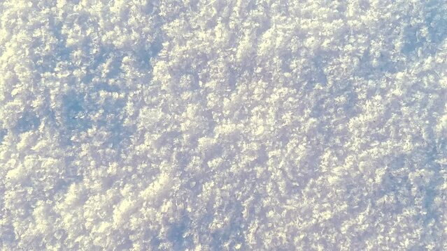 Snow crystals shimmer in the rays of the sun. The first snow. Winter in Russia 2022