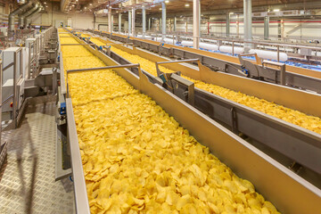 Long conveyor line with golden chips.