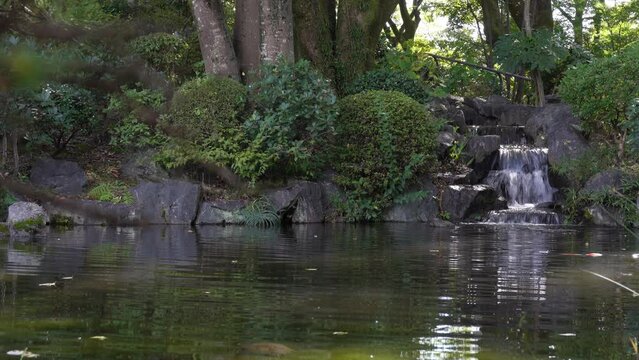 Small waterfall in a mountain stream Pond and splash Natural forest Japan garden Japanese style healing video