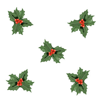 Christmas holly leaves and berries | Christmas elements illustration
