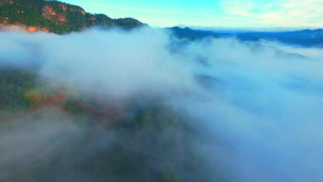 Aerial view over fog and road during sunrise. Beautiful tropical rainforest scenery. Transportation and nature concept. Mae Hong Son Province, Northern Thailand, Southeast Asia. 4K. Drone.
