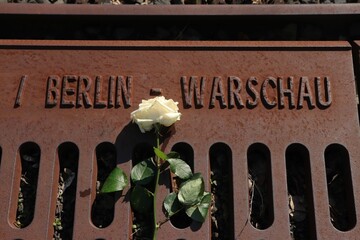 White rose put on the metal grate with "Berlin - Warsaw" written on it