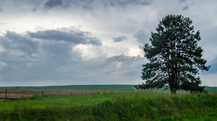 Fototapeta na wymiar landscape with trees