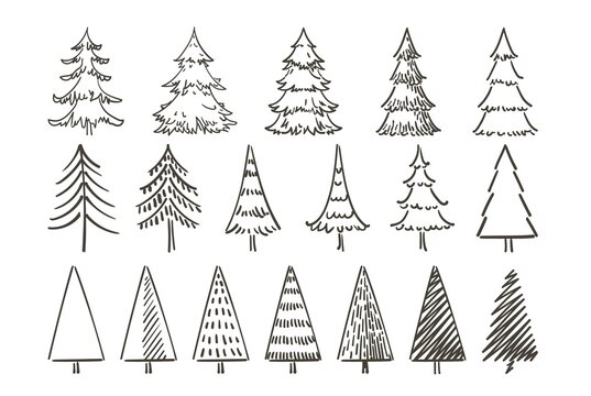 Christmas trees and Quote. Hand drawn set of spruce. Holidays background and Greetings card. Abstract doodle drawing woods, spruce. Vector sketch simple line illustration.