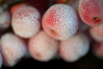 Red ornamental apples covered with ice glaze.