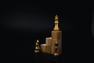 Fototapeta na wymiar development and improvement in corporate growth and professional Success idea concept of business leader or entrepreneur.Chess on wood cube.