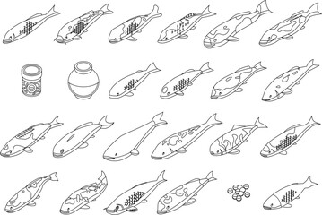 Koi carp icons set. Isometric set of koi carp vector icons outline vector on white background